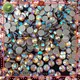 Jpstrass strong Hotfix Rhinestones manufacturer for dress 1