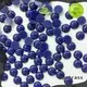 Jpstrass jp flat back peals rhinestone for clothes 1