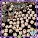Jpstrass loose hot fix crystals supplier for clothes 1