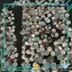 Jpstrass quality wholesale for clothes 1