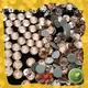 online hotfix rhinestones wholesale transfer on sale for dress 1