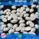 Jpstrass rhinestones rlshotfix pearls garment for party 1