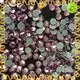 fashionable Hotfix Rhinestones sizes garment for ballroom 1