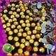 Jpstrass directly hot fix rhinestone on sale for clothes 1