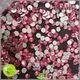 Jpstrass lead rhinestones for clothing series for dress 1