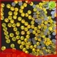 Jpstrass more hotfix strass on sale for dress 1