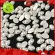 Jpstrass resin pearl beads for crafts customization for online 1