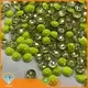 Jpstrass frosted rhinestuds wholesale rhinestone for online 1