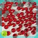 directly rhinestone hotfix flat series for clothes 1