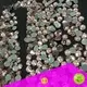 Jpstrass quality hotfix rhinestones wholesale manufacturer for dress 1