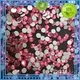 Jpstrass korean wholesale rhinestones rhinestone for ballroom 1