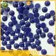 Jpstrass garment flat pearls manufacturer for party 1