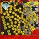 Jpstrass designs hot fix rhinestone quality for party 1