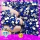 crystal where to buy rhinestones bulk supplier for online 1