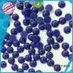 pearl pearl beads wholesale size supplier for clothes 1