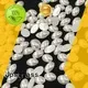 Jpstrass korean flat back pearls wholesale supplier for ballroom 1