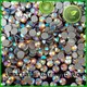 Jpstrass jp hot fix rhinestone designs decoration for dress 1