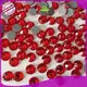 Jpstrass intensive hot fix stone supplier for ballroom 1