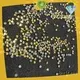 Jpstrass fix quality rhinestones wholesale for online 1