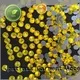 Jpstrass directly hot fix stone quality for online 1