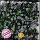 fashionable bulk rhinestones back decoration for online 1