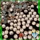Jpstrass facets hot fix crystals customization for clothes 1