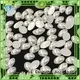 Jpstrass pearl red flat back pearls series for online 1