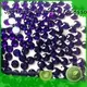 flat rhinestones for sale korean customization for ballroom 1