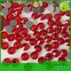 Jpstrass quality on sale for party 1