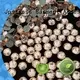 online wholesale loose rhinestones german on sale for party 1