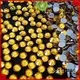 Jpstrass quality hot fix rhinestone on sale for clothes1 1