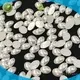 Jpstrass abnormal where to buy flat back pearls supplier for online 1