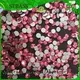 bulk purchase high quality rhinestones korean factory for clothes 1