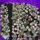 Jpstrass quality wholesale loose rhinestones quality for clothes 1