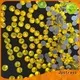 Jpstrass flat hotfix rhinestones on sale for clothes 1