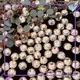 online hotfix rhinestones wholesale levels manufacturer for shoes 1