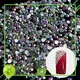 Jpstrass bulk buy flat back crystal rhinestones manufacturer for dress 1