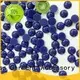 round flat round pearls beads manufacturer for shoes 1