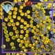 directly wholesale loose rhinestones garment manufacturer for shoes 1