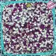 strong crystal rhinestones popular manufacturer for party 1