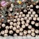 Jpstrass quality rhinestone beads business for party 1
