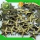 bulk wholesale studs for clothing top supplier for ballroom 1