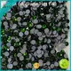 Jpstrass bulk purchase rhinestones for sale vendor for party 1