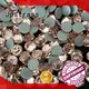 directly strass hotfix all business for dress 1
