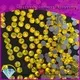 Jpstrass bulk purchase hot fix crystals quality for dress 1