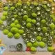 Jpstrass range strass hotfix vendor for sale 1