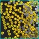 wholesale rhinestones wholesale transfer factory price for bags 1