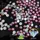 wholesale wholesale rhinestone flatback stones vendor for clothes 1