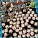 Jpstrass glue hot fix crystals on sale for shoes 1