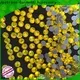 online rhinestone hotfix crystal supplier for party 1